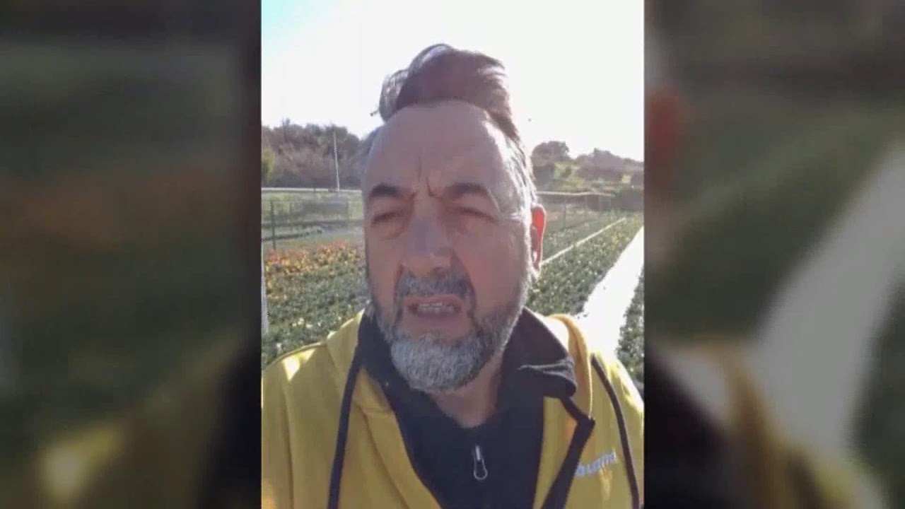 SERV EMERGENZA CORONAVIRUS FLORICOLTORE