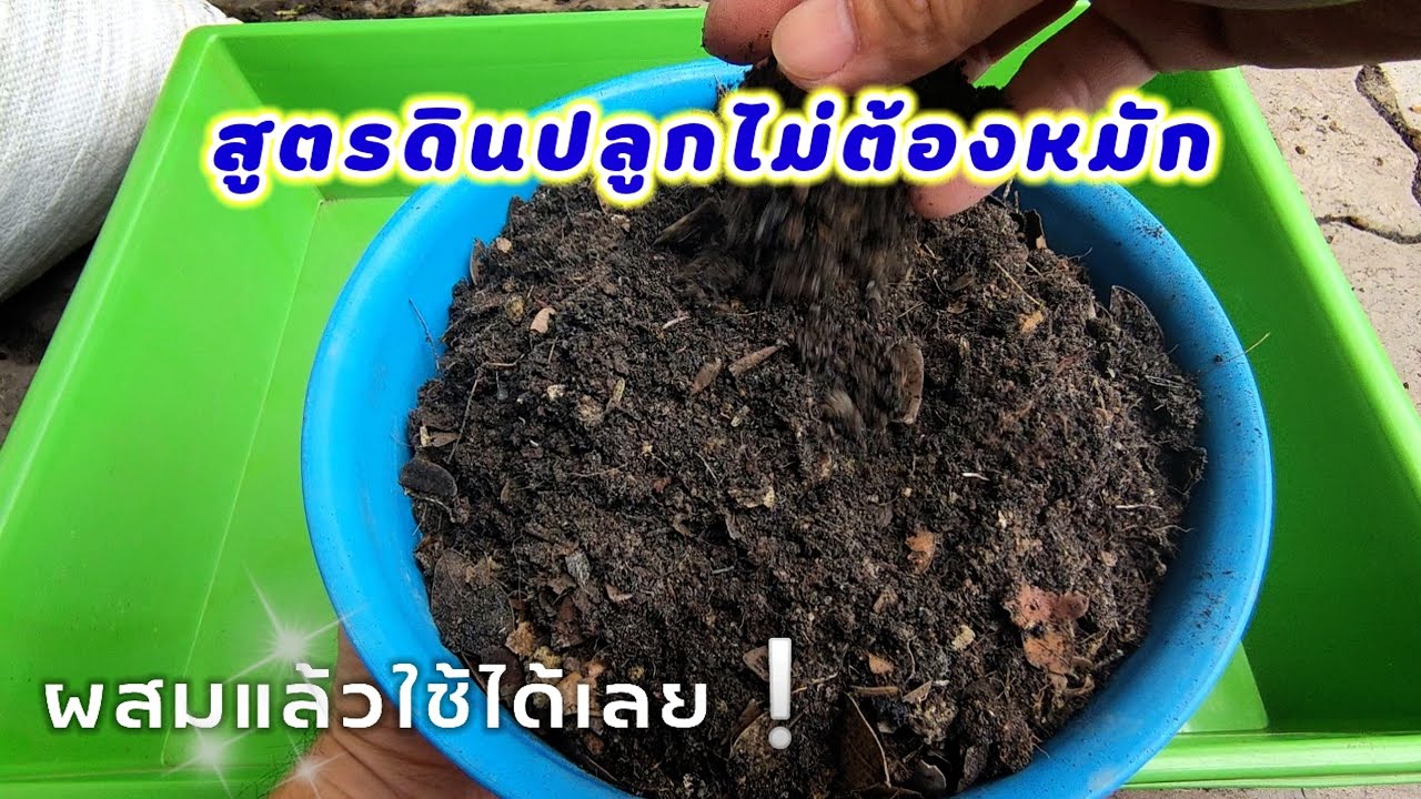 สูตรดินปลูกไม่ต้องหมัก ผสมแล้วใช้ได้เลย❗
