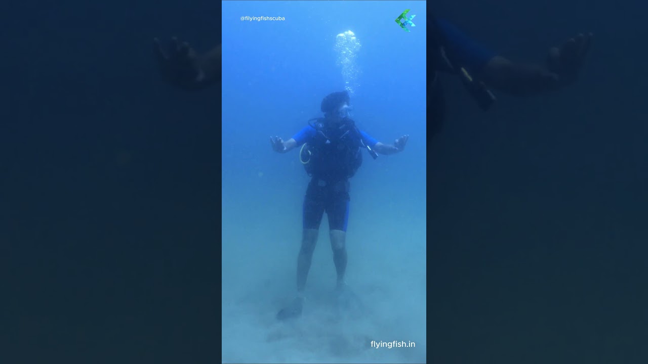 Explore scuba diving in Goa with FlyingFush Scuba School #scubadiving #goa