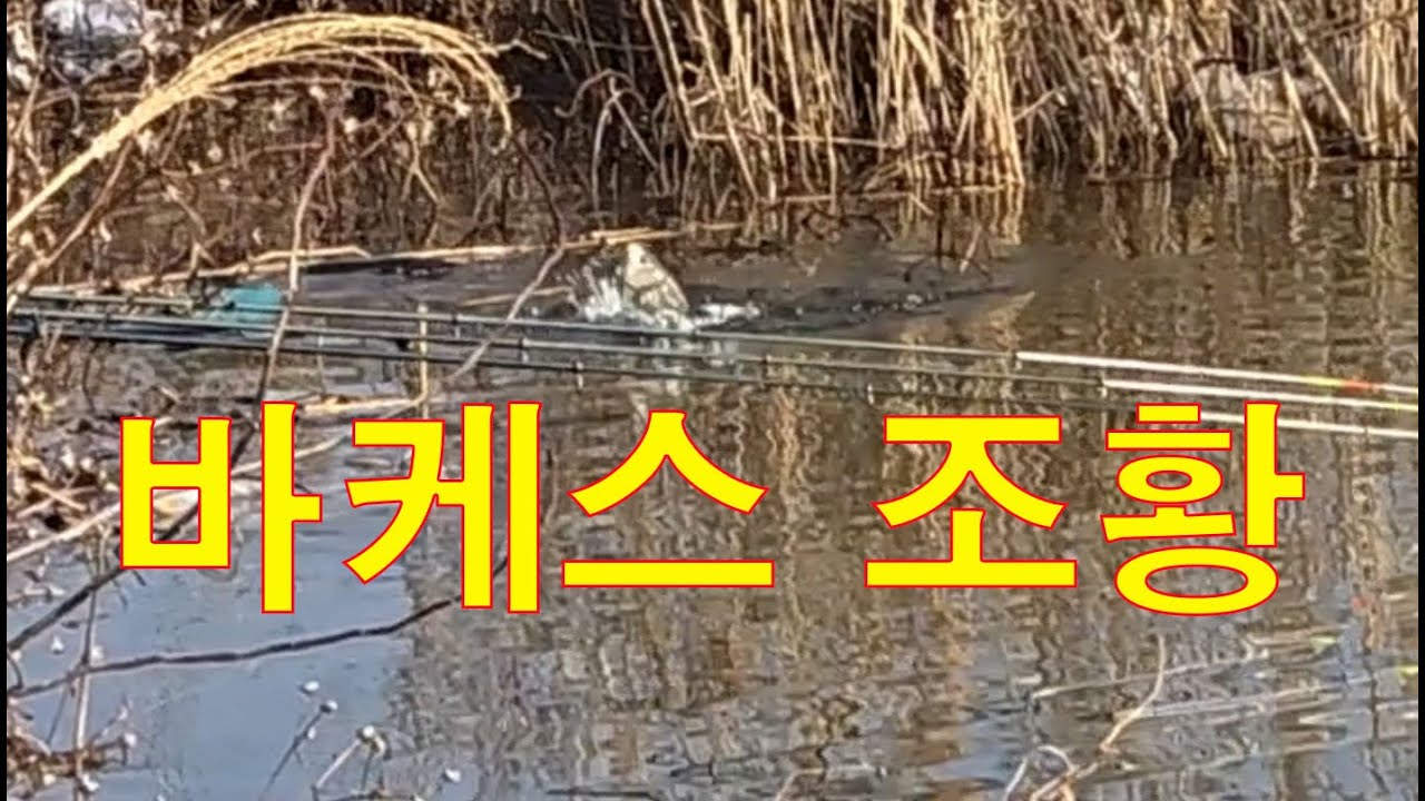 이 겨울에 엄청난 실제 상황
