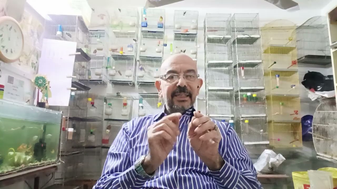 تشوهات أرجل الفروخ بين ( الأسباب وتلافيها)