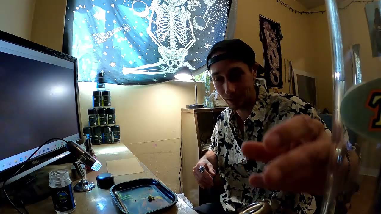Cannabis Review Ep4 Kosher Scout By Glass House Farms