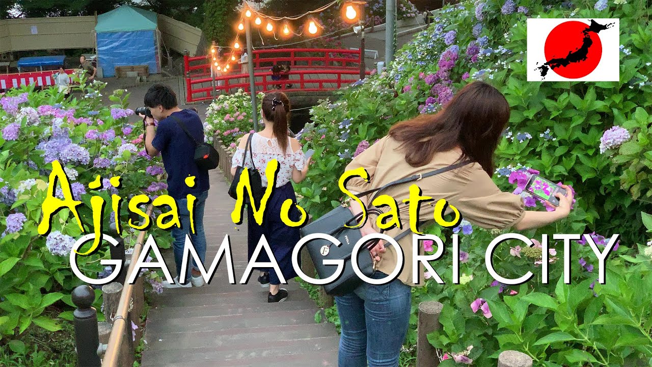 JAPAN Side Trip 2019-06-29 | Sightseeing at Katahara Onsen Ajisai No Sato w/ Awesome Flower Display