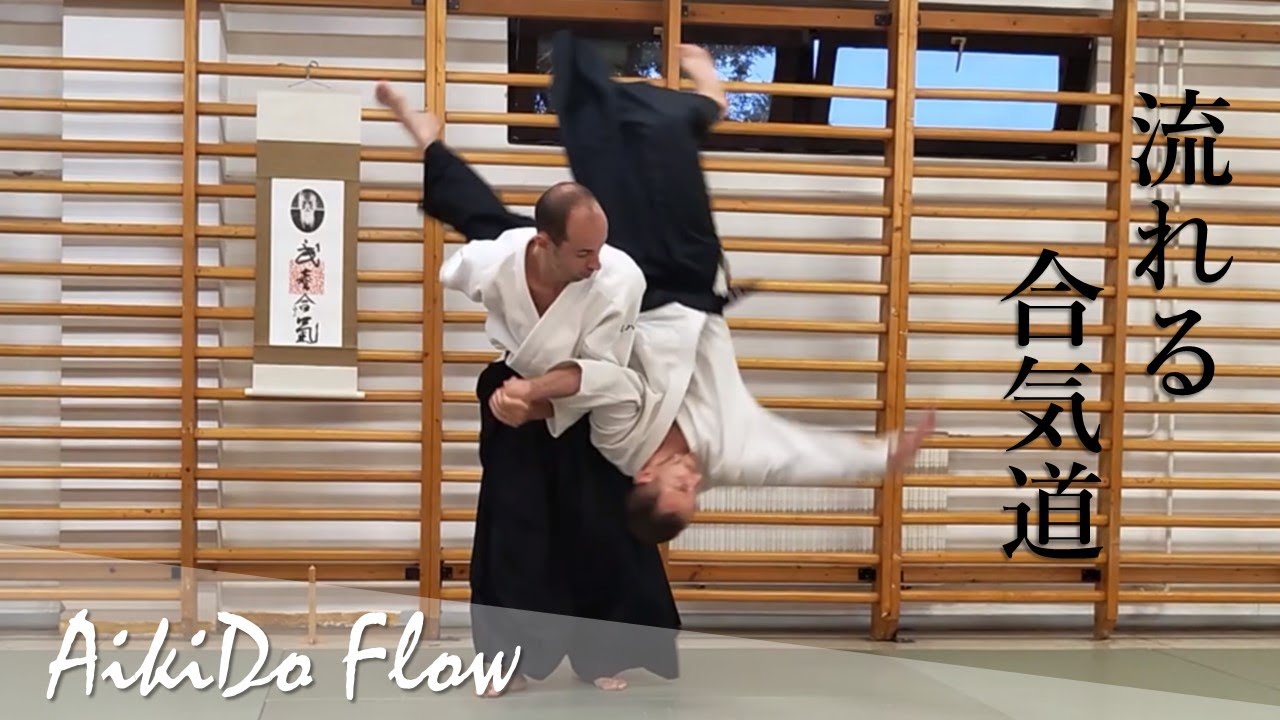 Aikido Flow - Dynamic Techniques & Variations