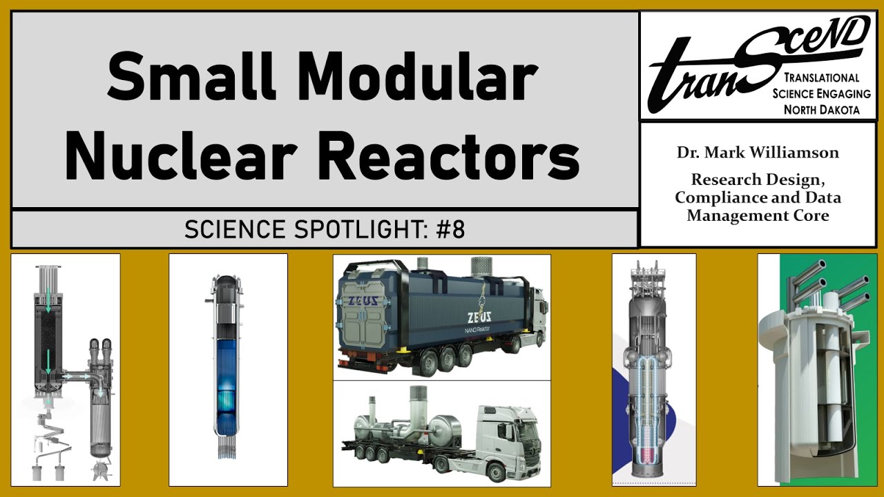 Small Modular Nuclear Reactors