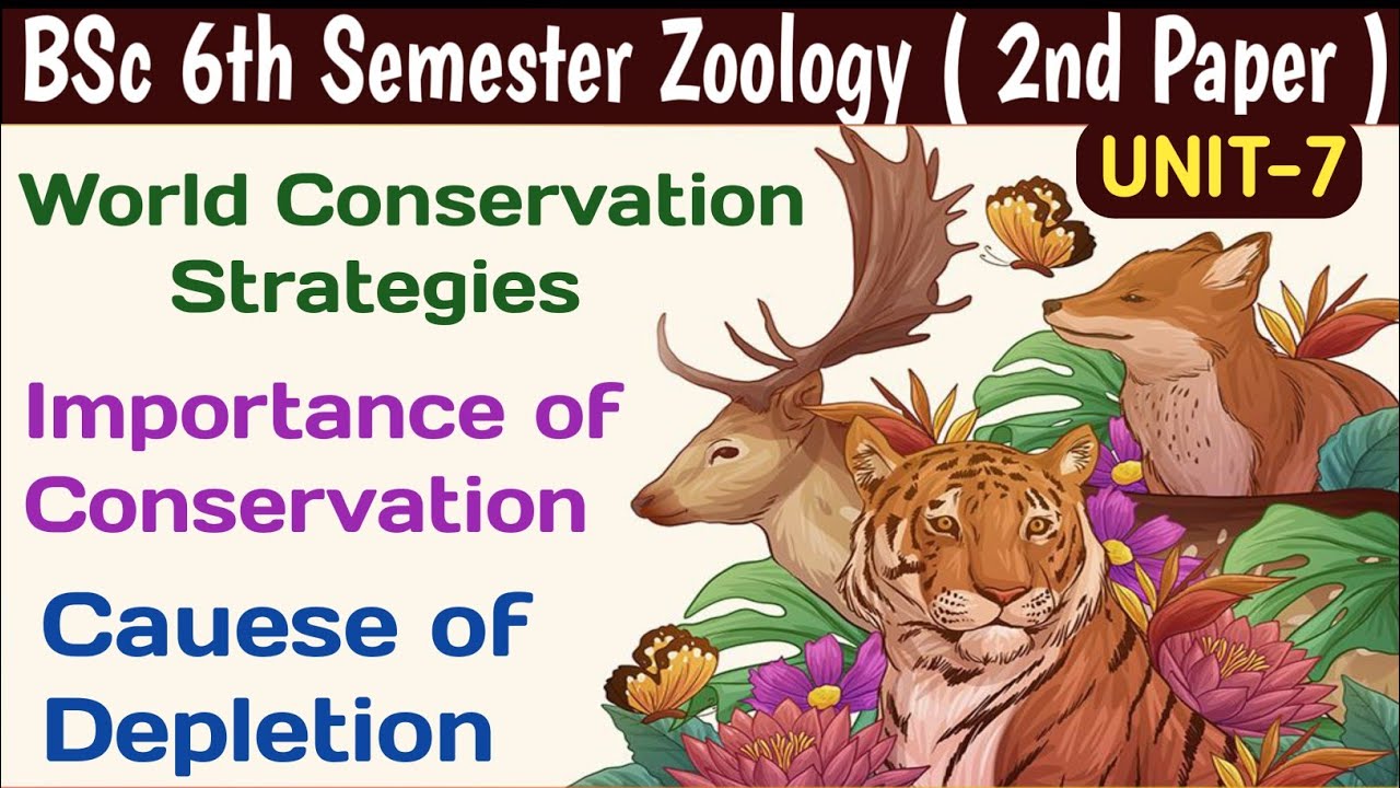 BSc 6th Sem Zoology/Clauses of Depletion/Importance of Conservation/World Conservation Strategies