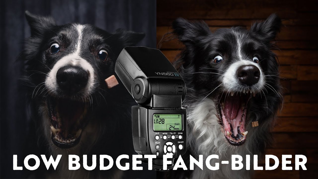 SCHNAPPBILDER ohne HSS - Hunde beim Leckerli fangen fotografieren