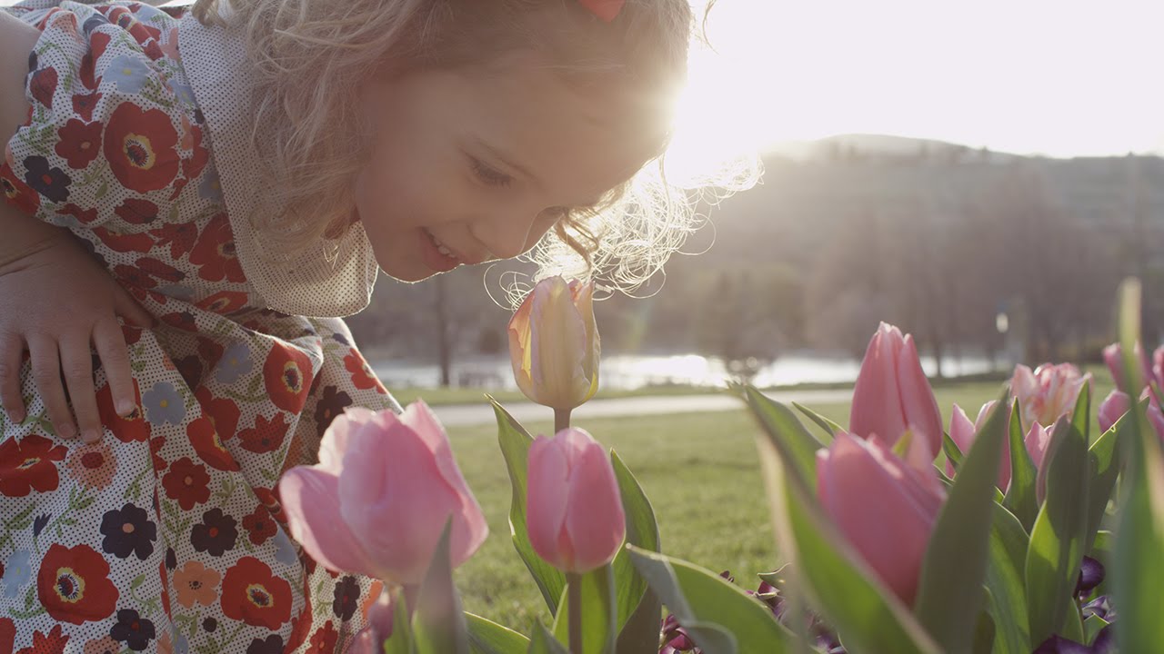 My Heavenly Father Loves Me | BYU Young Ambassadors feat. violinist Megumi Terry and friends