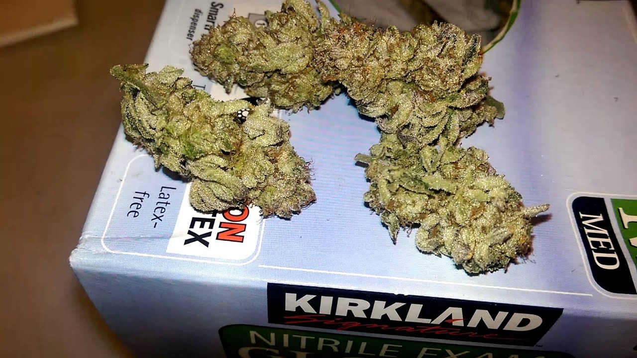 Smoking a doobie with Jack in #6
