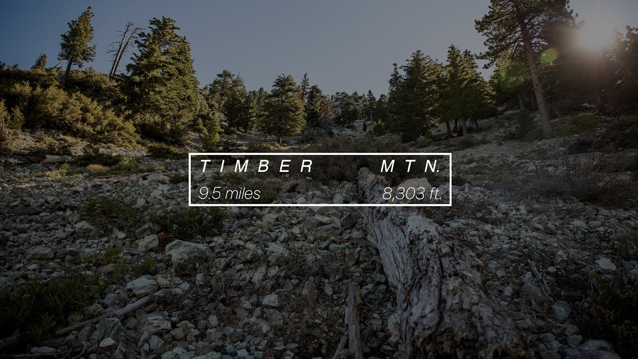 Hiking Icehouse Canyon to Timber Mountain