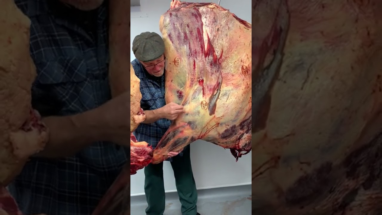 Beef Carcass