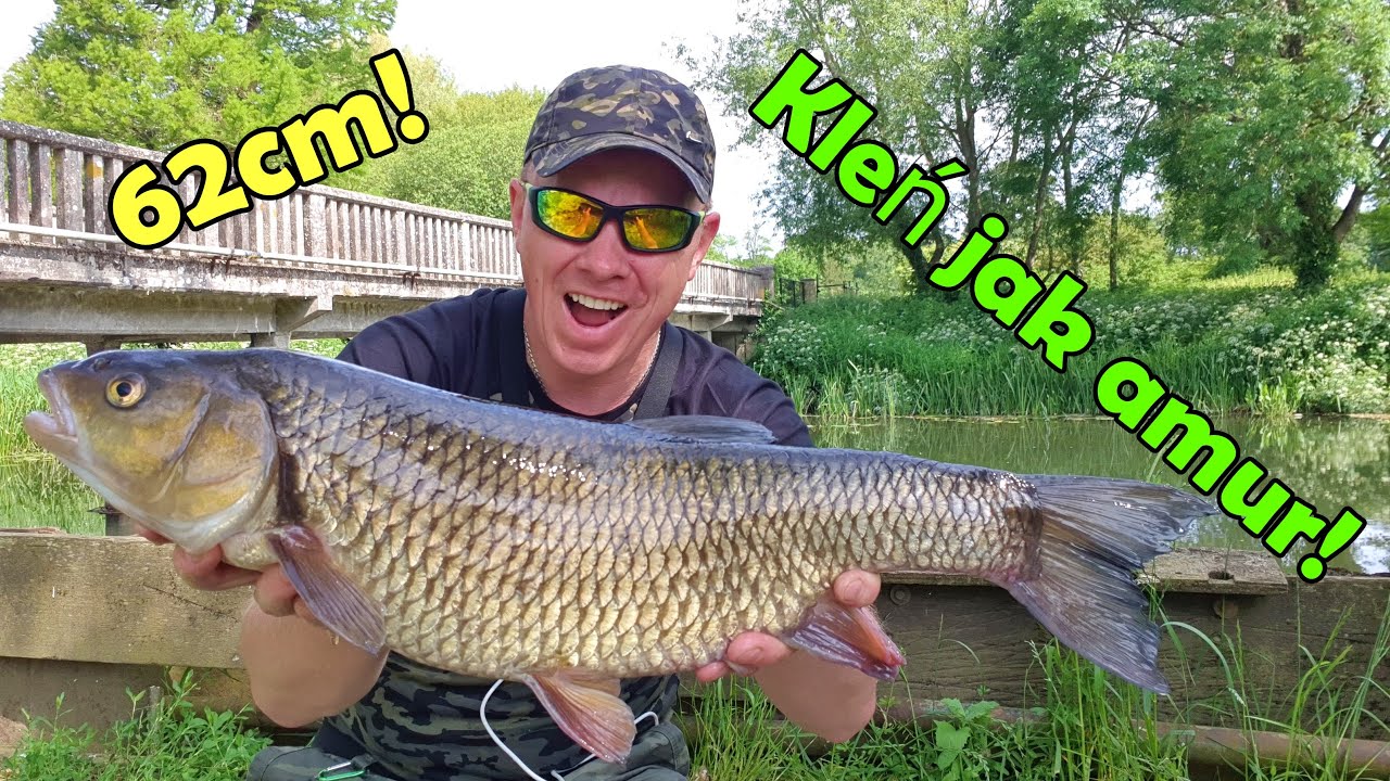 REKORDOWY KLEŃ na spinning 62cm! / Najskuteczniejsza przynęta na DUŻE klenie/ Best lure for big chub