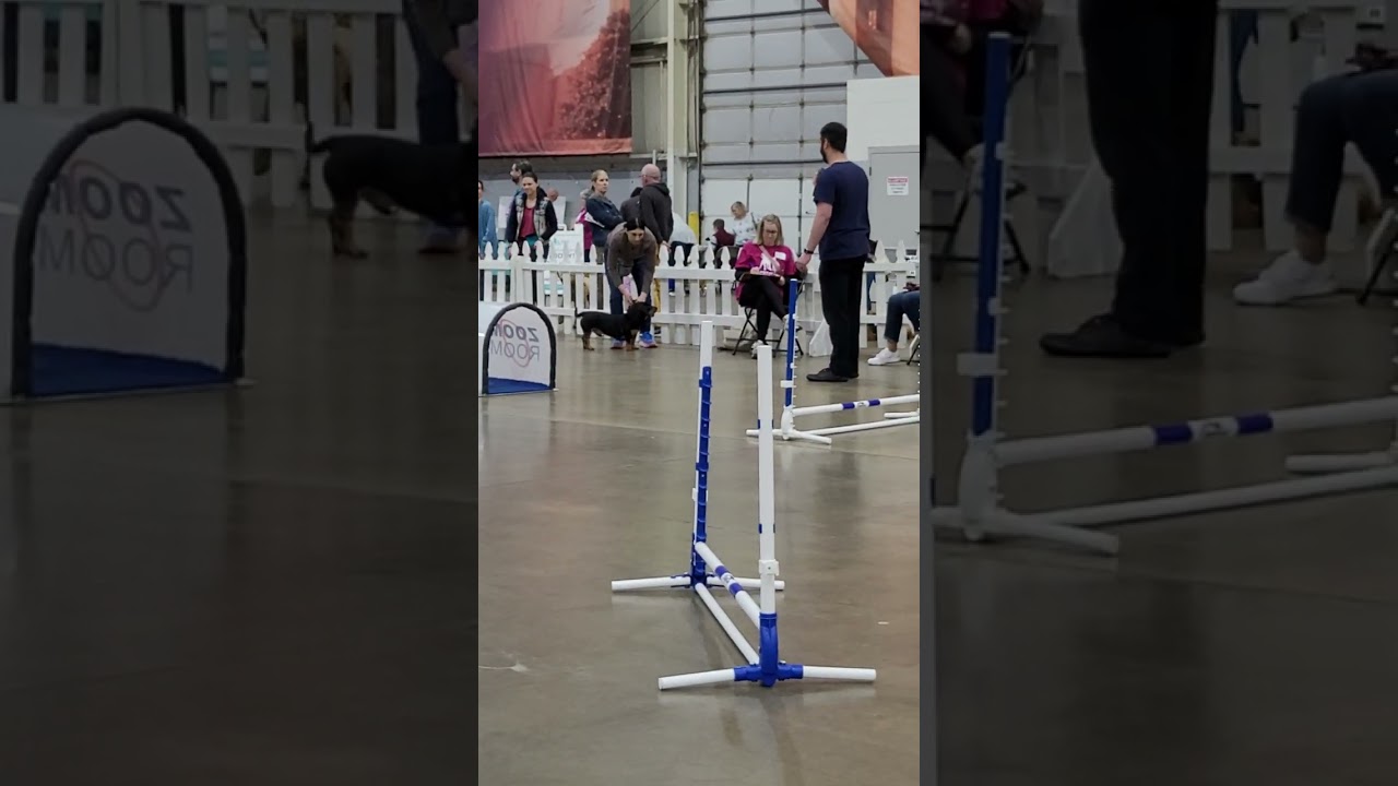 Pet Expo 2024 - Norman & Alissa Phillips