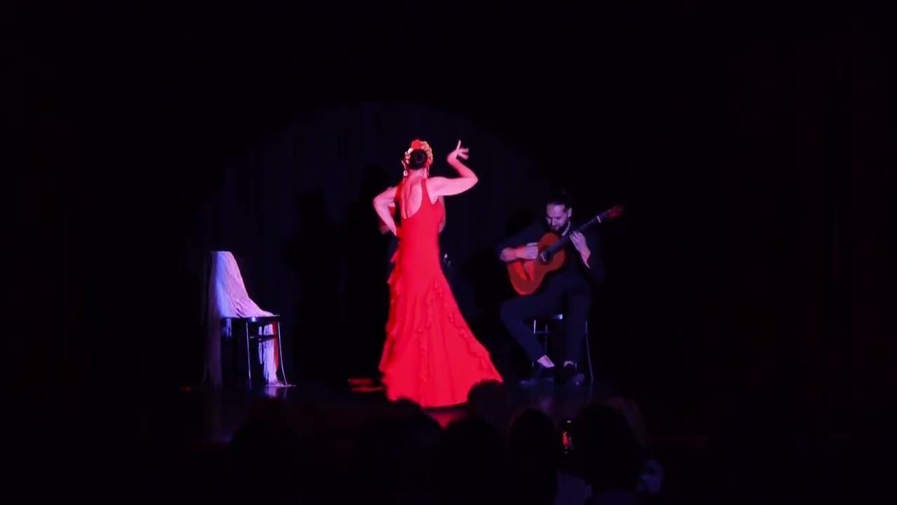 Flamenco Show Vienna with María Luisa Rizo