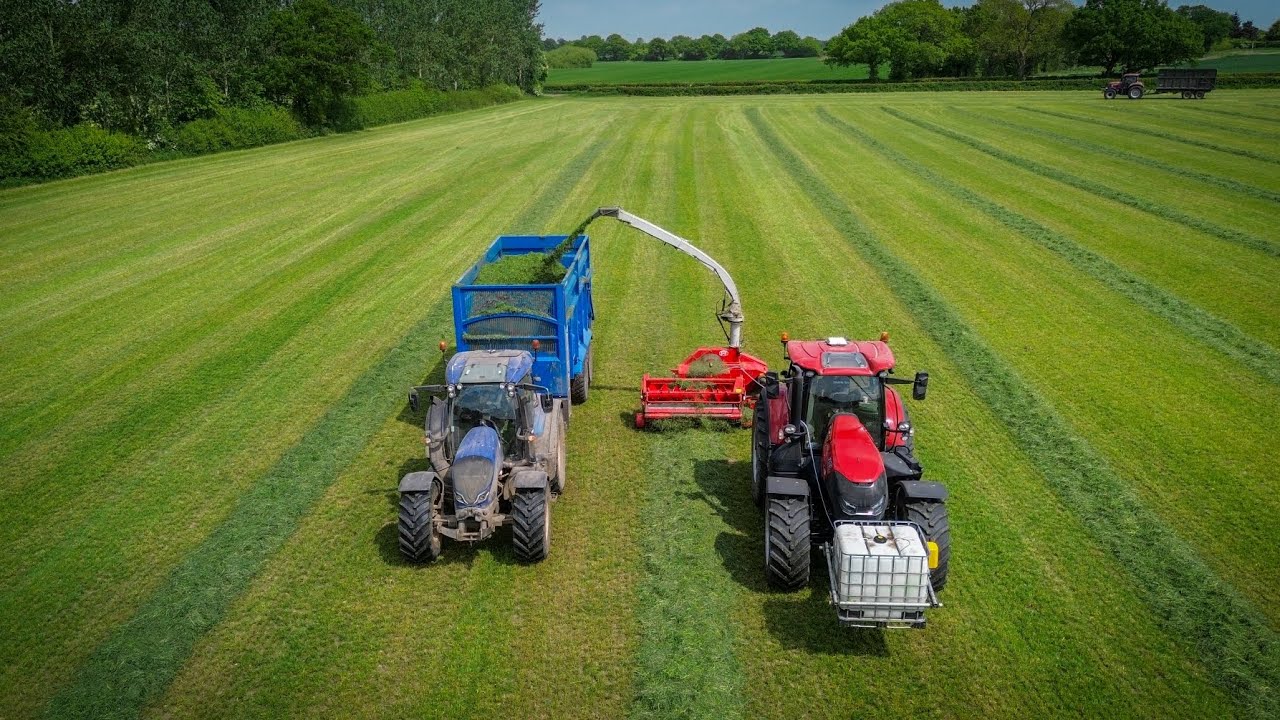Case IH Optum 300 & Lely Storm trailed Forage harvester