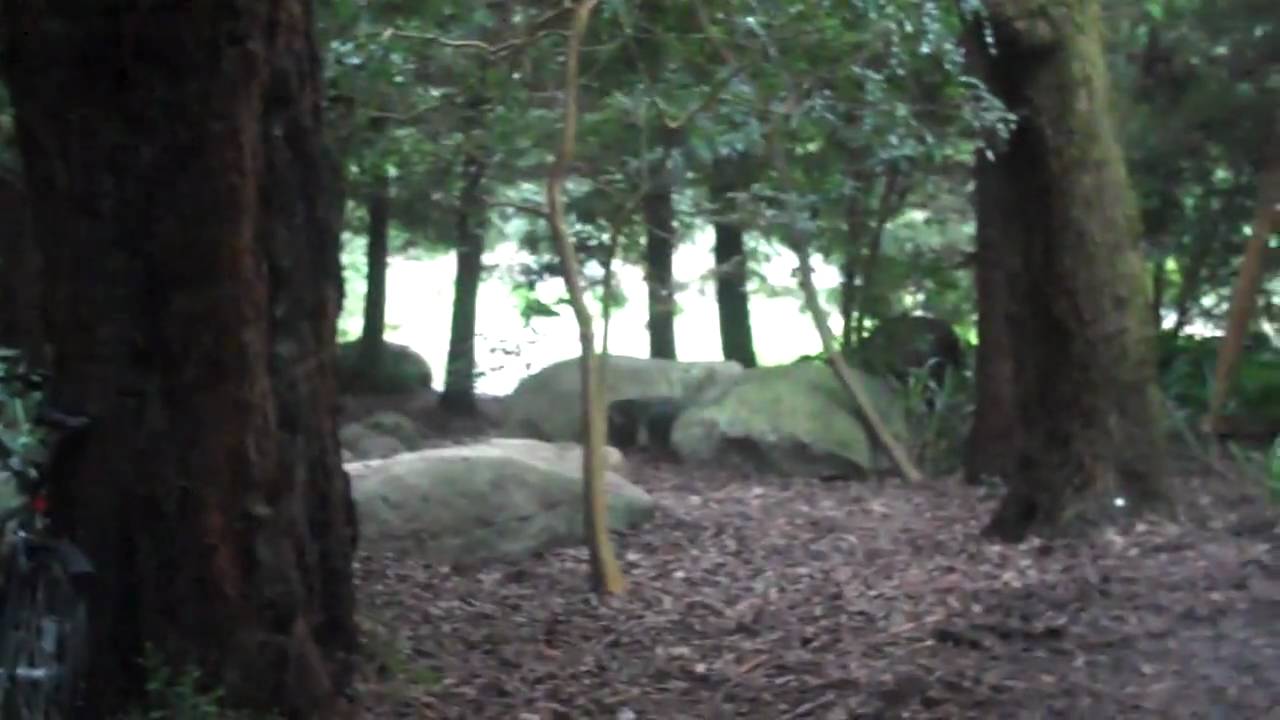 AIDS Memorial Grove - WCities