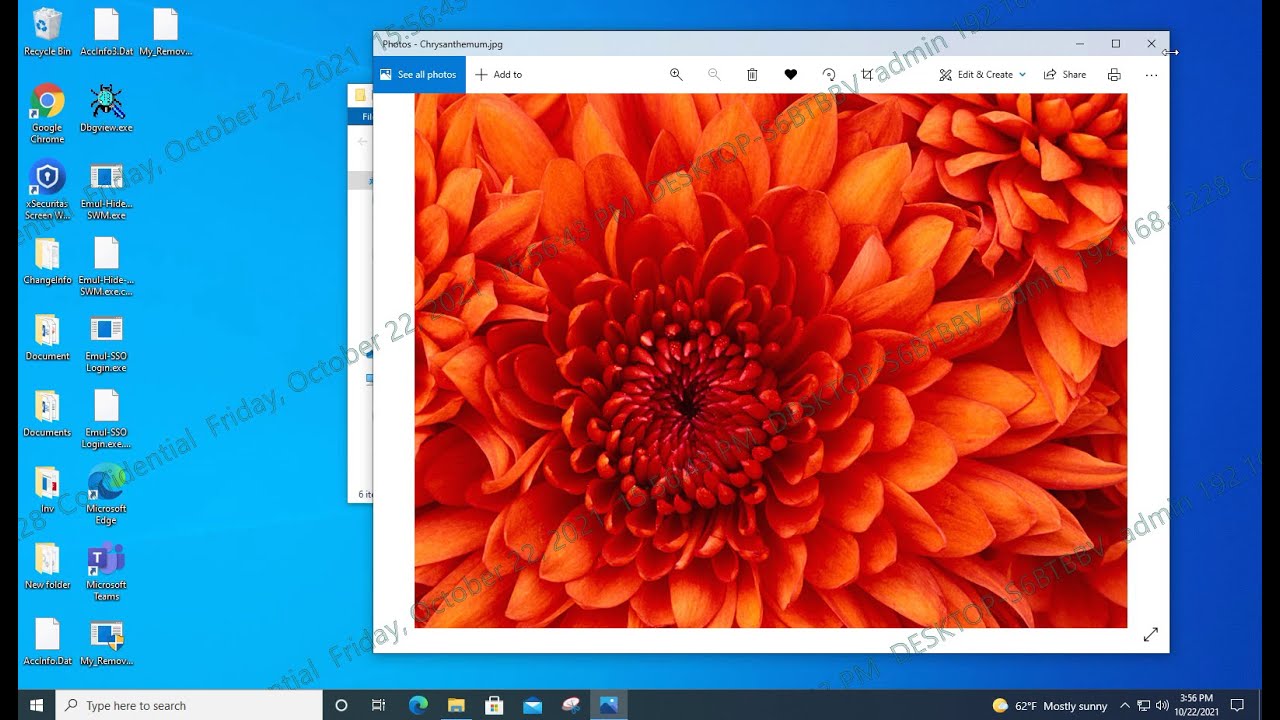 Show or hide screen watermark by process or extension