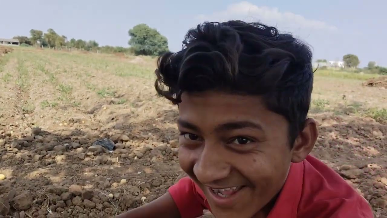 બીજા ખેતરમાં બટાકા કાઢવાનું ચાલુ 🥔🥔🥔