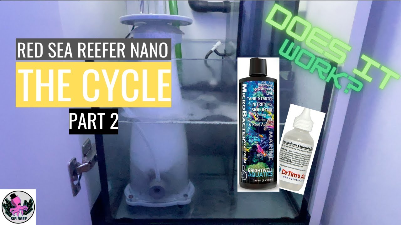 The Cycle | RED SEA REEFER NANO 28G Part 2