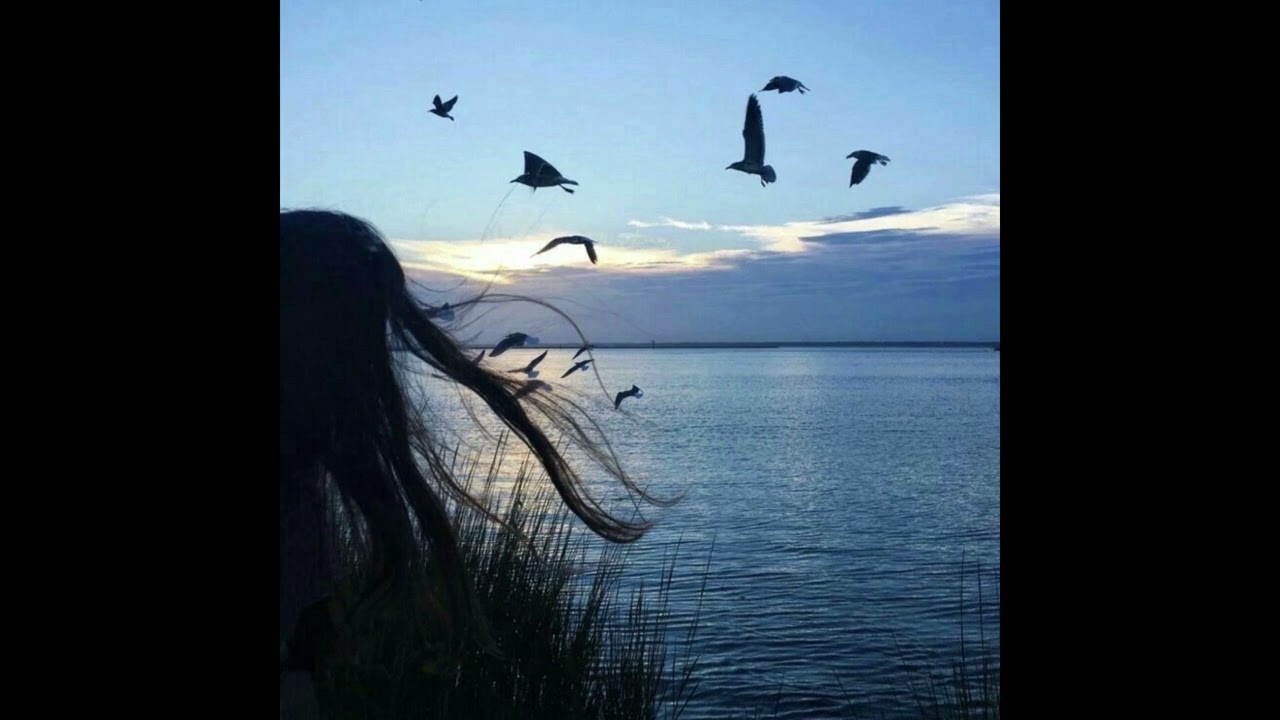 [FREE] pittkiid type beat - “midnight