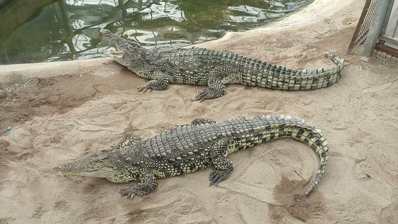 Izmir Natural Life Park