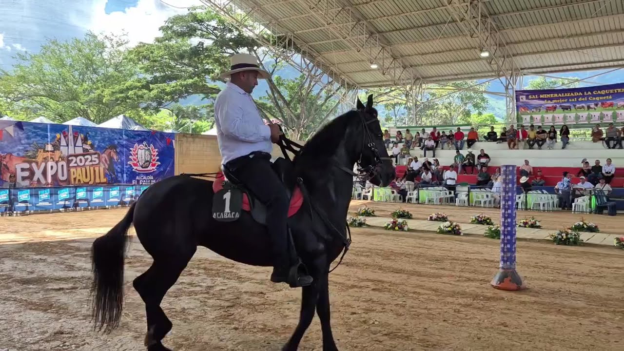 🎥 Recuerdos de una ExpoPaujil 2025 llena de alegría y tradición ✨
