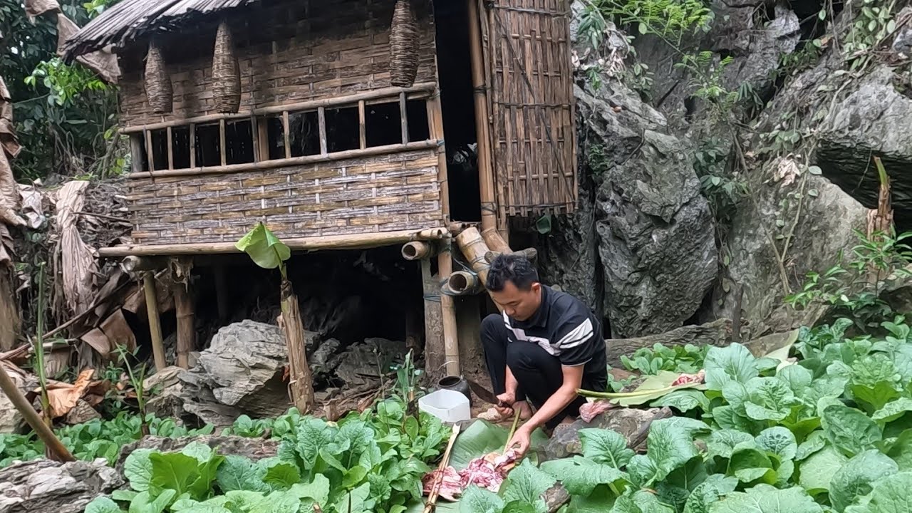 Thịt rừng nấu rau cải, cuộc sống một mình nơi hoang dã, cuộc sống tự nhiên