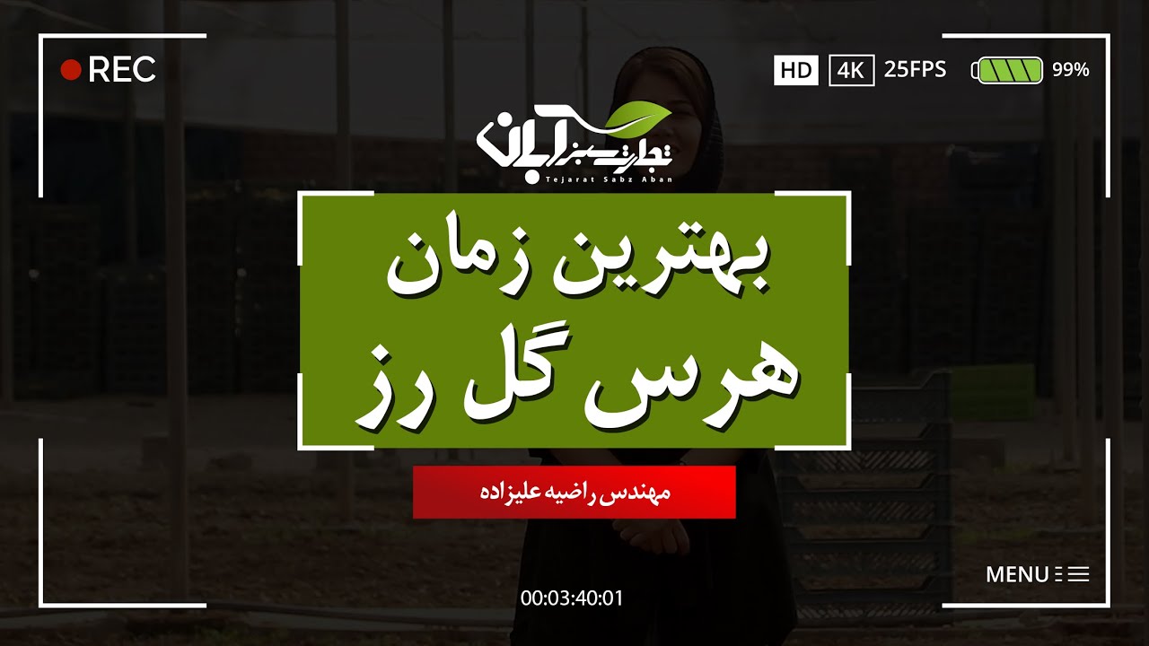بهترین زمان هرس گل رز