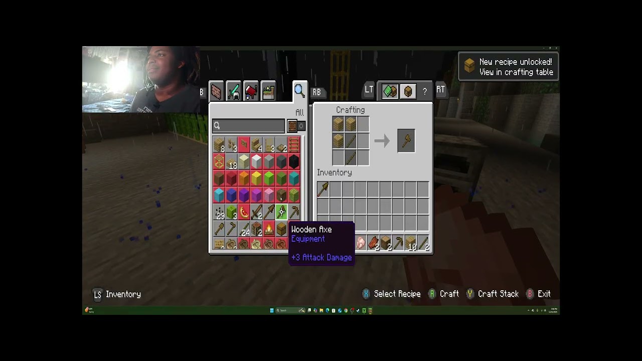 Fun MINECRAFT Video with Family