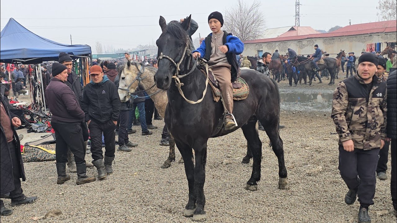 SHAHRIXON OT BOZORI ZOTDOR DAXSHAT OTLAR CHIQI KO'RIB MAZZA QILING   18 февраля 2026 г.