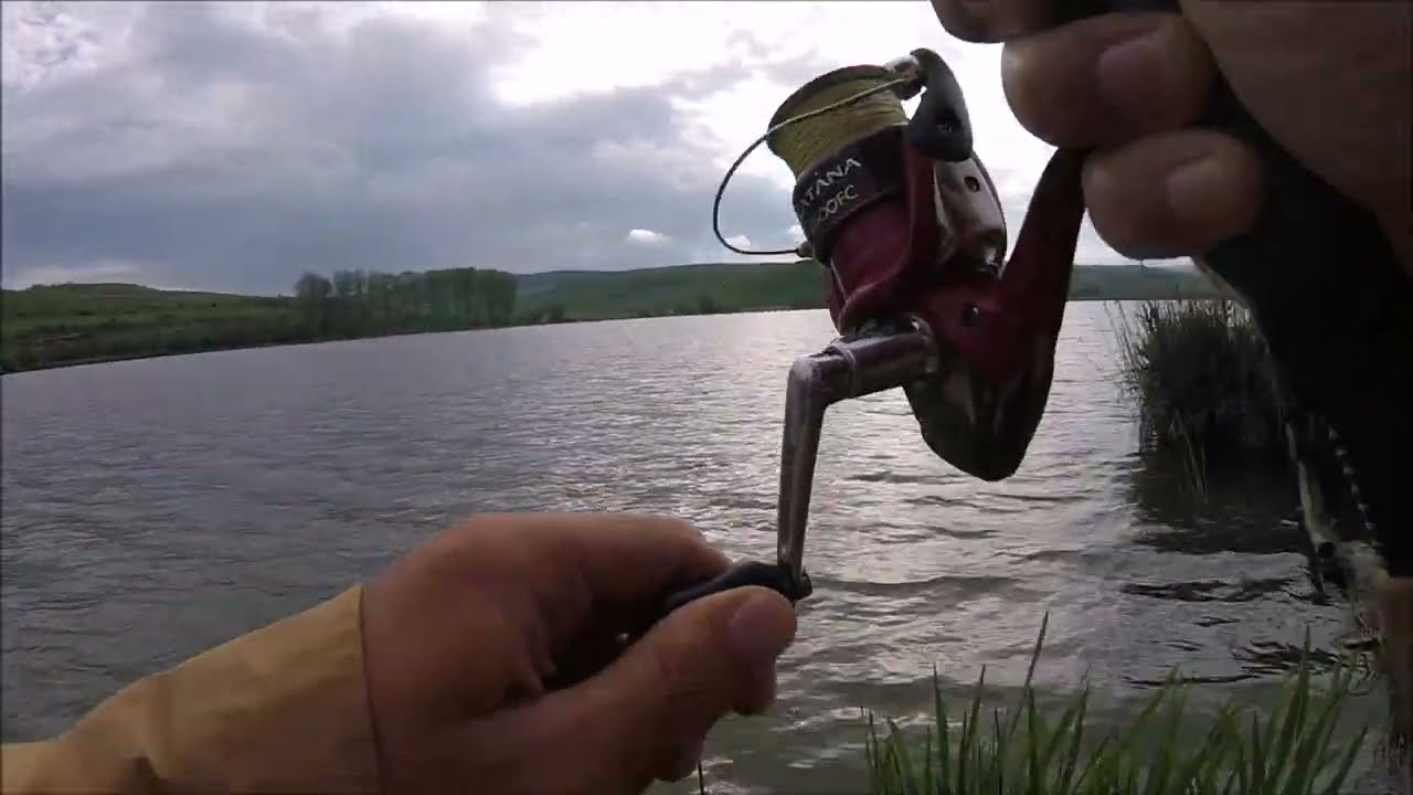 Vremea si culoarea ideala la salau - Martinesti Iaz - Mai 2023