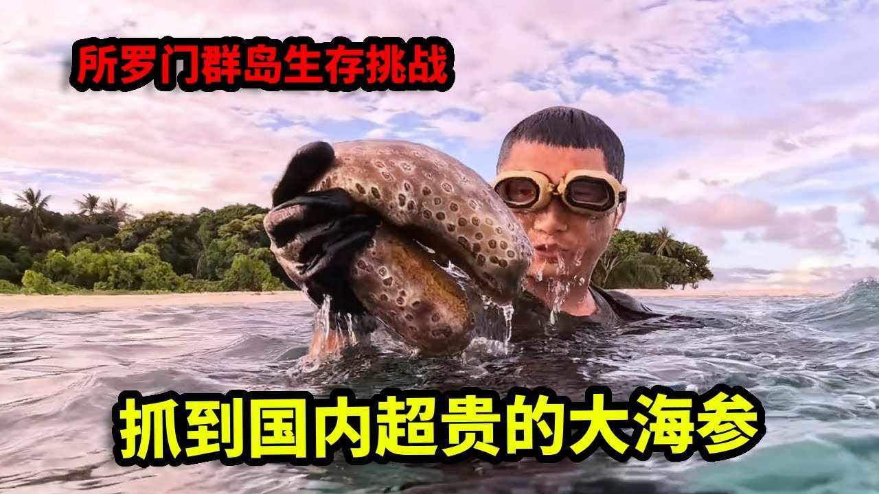 所罗门群岛生存挑战全集：红树林捕获巨型大青蟹，捡到国内超贵的大海参，下海叉鱼遇到鲨鱼赶紧跑！【户外平头哥】