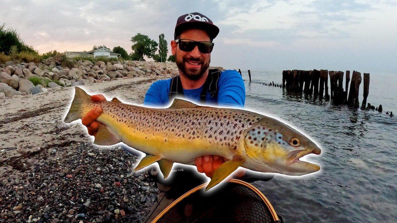 Dicke Meerforelle & Topwater-Action auf Plattfisch 😱 - 12h Meerforellenangeln in der Ostsee