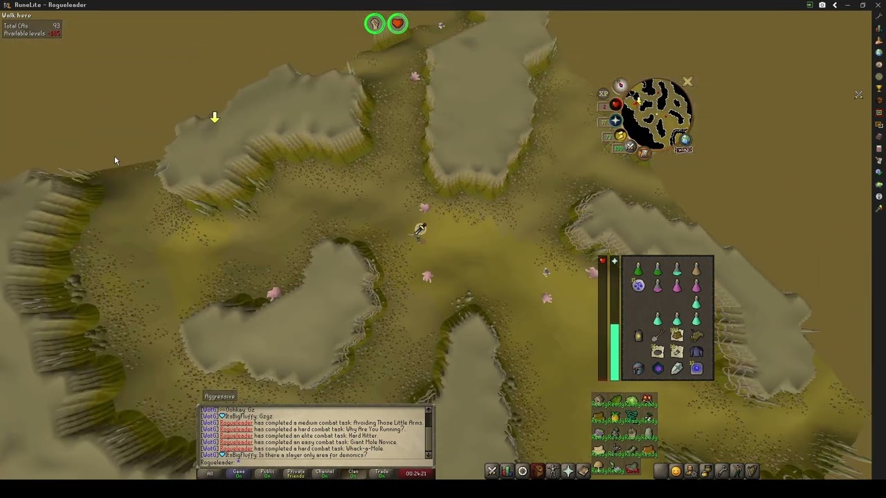 [OSRS] Rise Rogueleader - Day Two