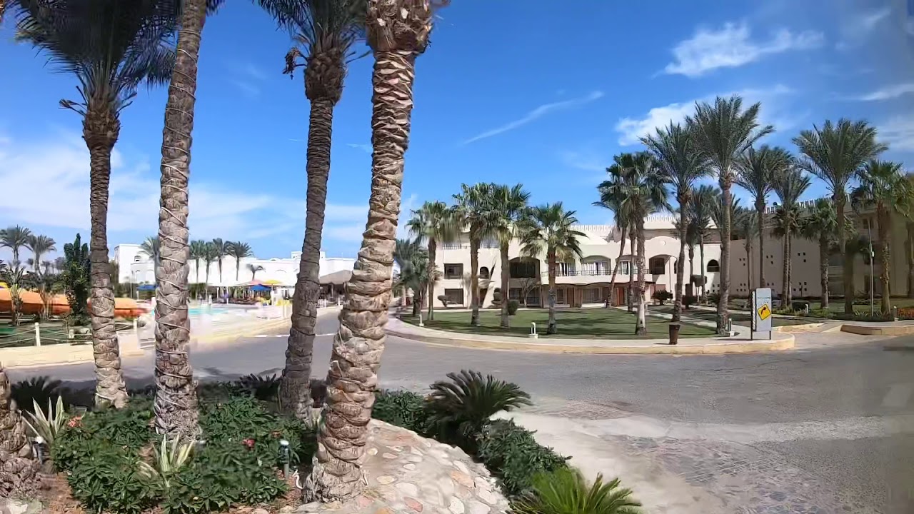 Royal Albatros Moderna Sharm El Sheikh 2019.11