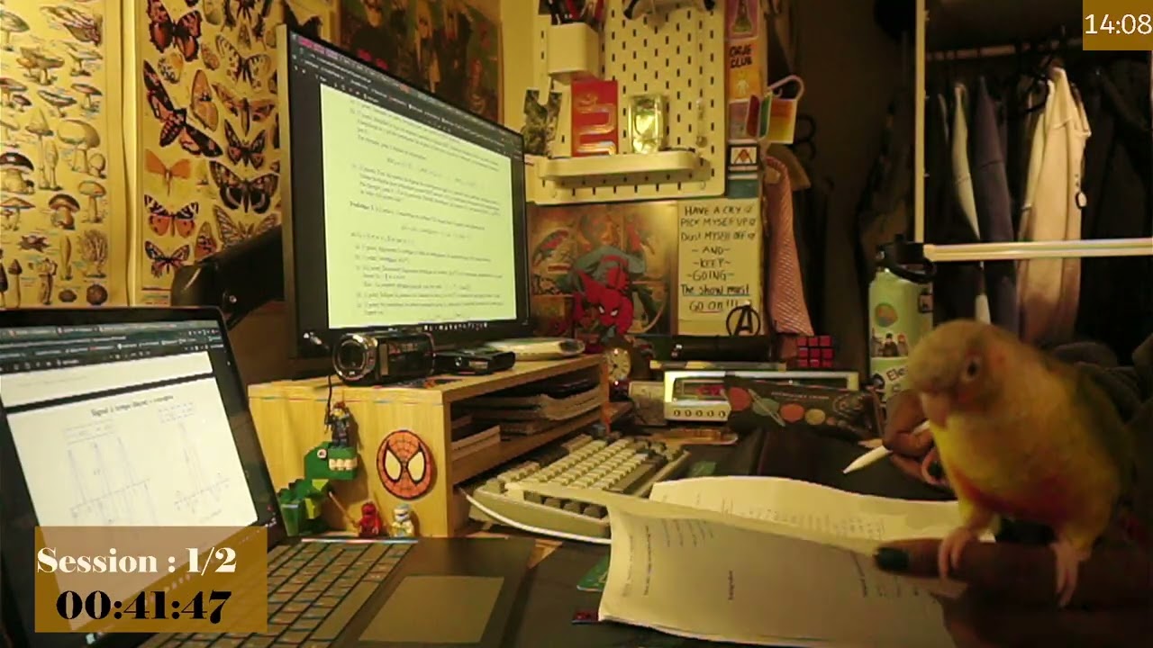 study with me for 2 hrs | 50/10 pomodoro and fireplace sounds