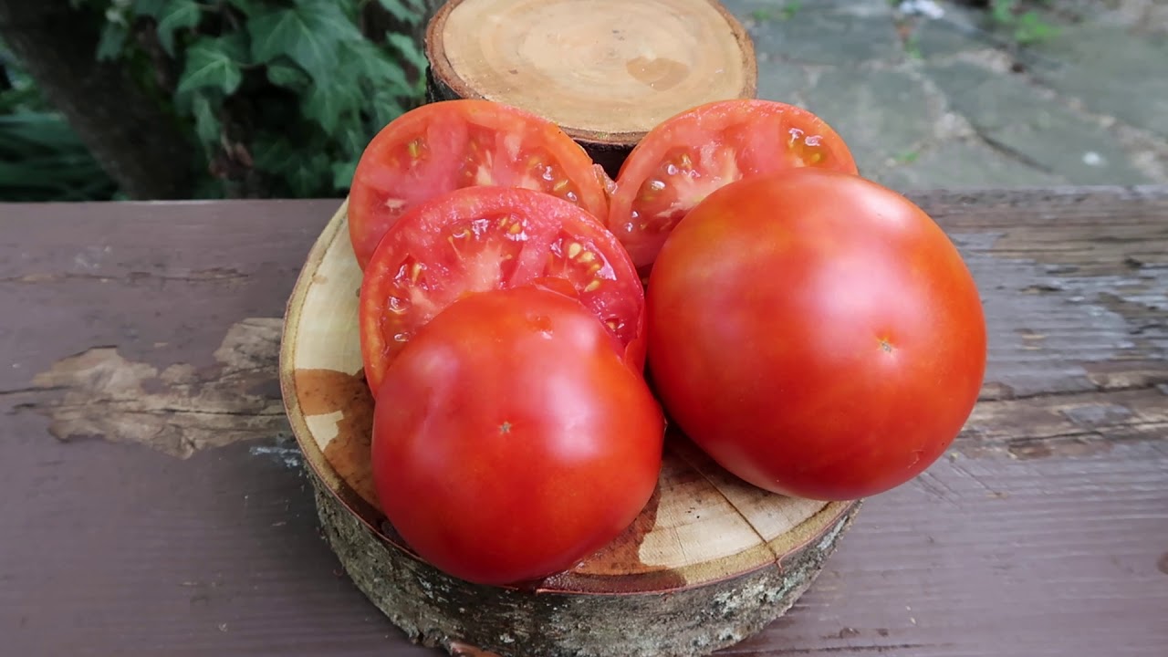 Luscious Lady Tomato. Fantastic For Cooking, Canning, Snacking And More!