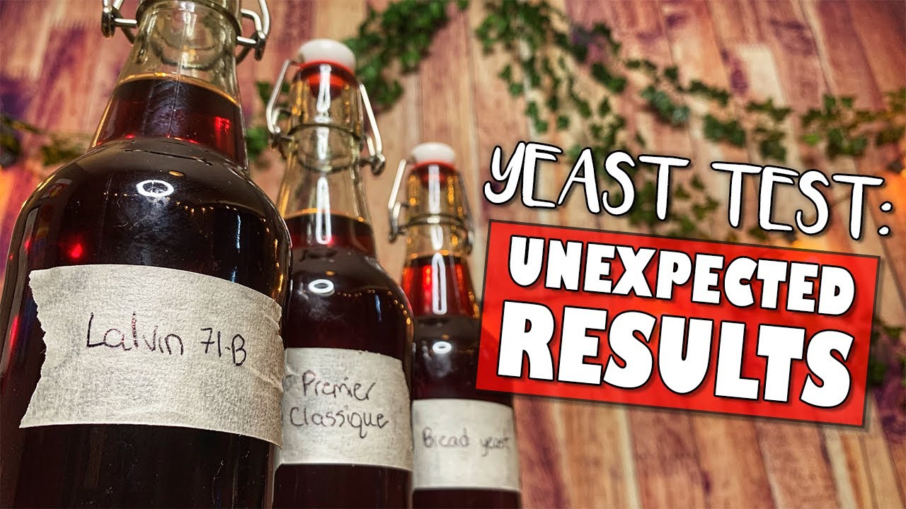 Bread vs. Wine Yeast | The Results