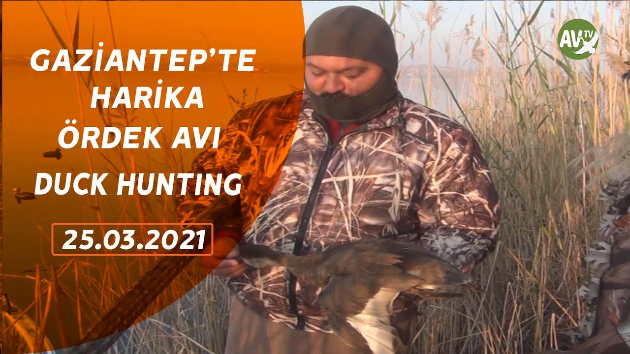 DUCK HUNTING TEZCAN AVCILAR AVDA GAZİANTEP ÖRDEK AVI