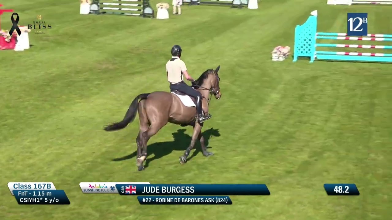 Robine De Barones ASK (El Barone) 5yo mare