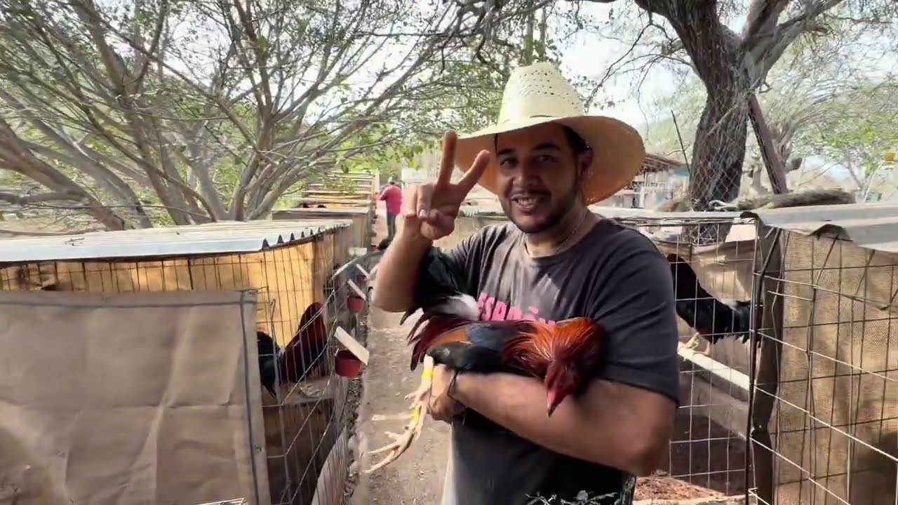 NOS VAMOS AL INTER DE PUERTO VALLARTA JALISCO 