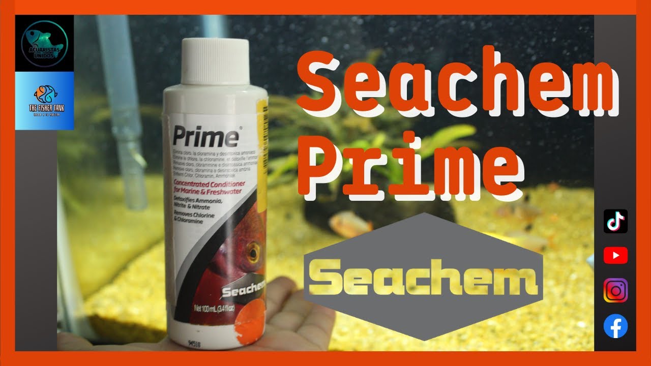 Seachem prime | Acondicionador para el agua | The Fisher tank