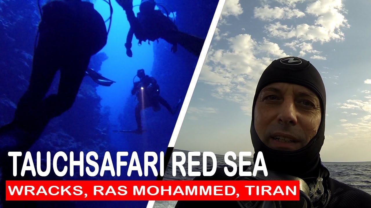 Sea-Diver Tauchsafari 2019 - Rotes Meer (Norden, Wracks, Stra&szlig;e von Tiran, Ras Mohammed)