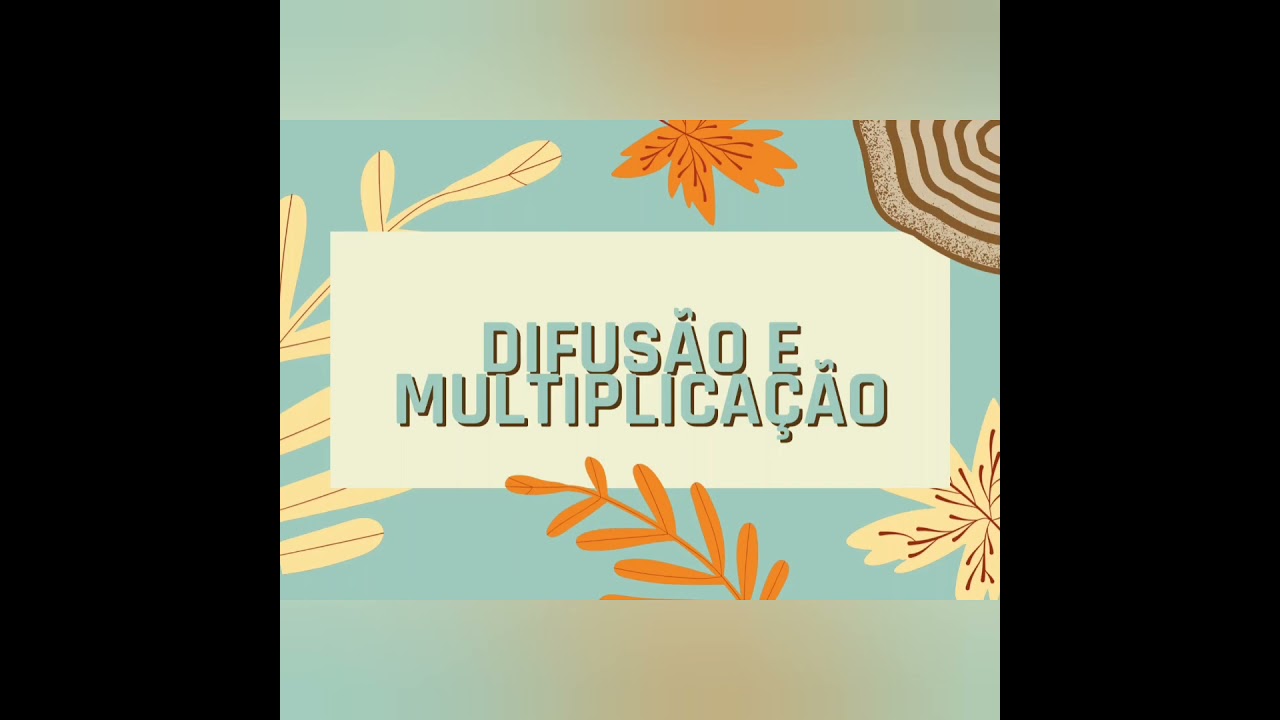 Portf&oacute;lio PCG 2021