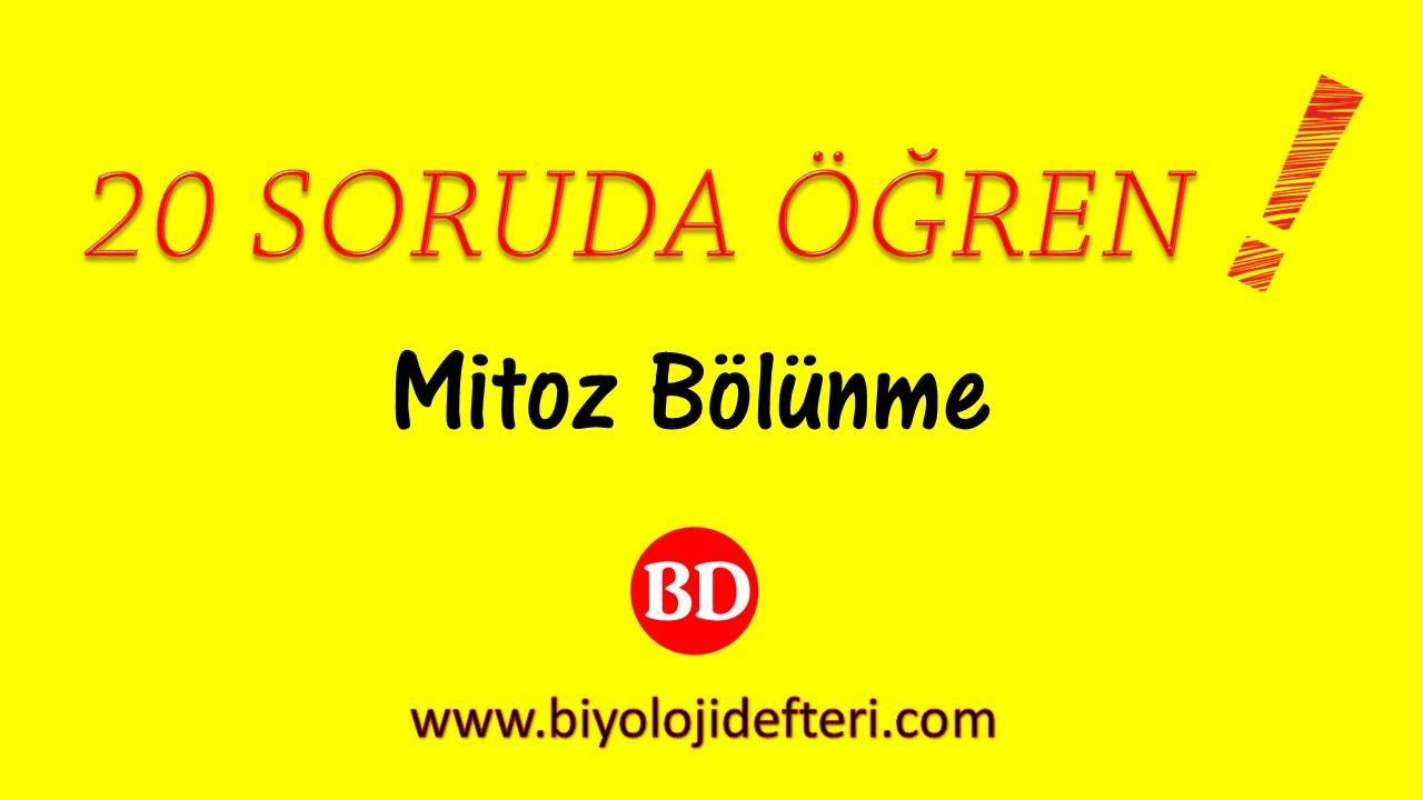 20 SORUDA ÖĞREN ! I Mitoz Bölünme#2 ( 11 - 20 Arası Sorular )