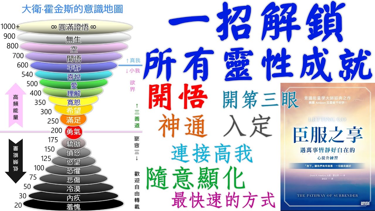 好書推薦：臣服之享~2 臣服的具體實踐方法 一招解鎖所有靈性成就 心想事成 隨意顯化 開啟神通 開第三眼 打坐入定 開悟回家 #開悟  #療癒 #氣脈