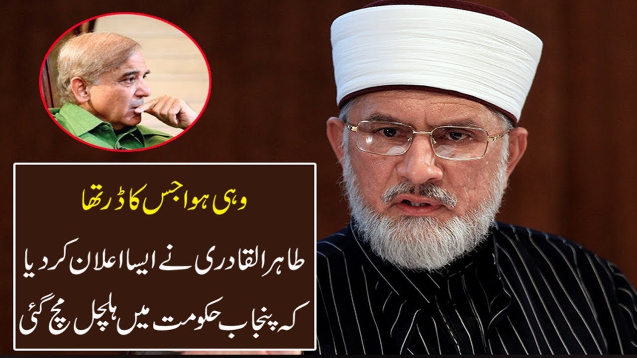 Dr Tahir-ul-Qadri gives deadline for Shehbaz, Sanaullah till 31st to resign