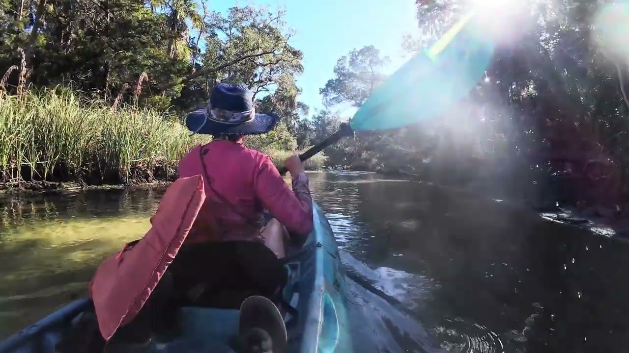 Kayaking with Manatees on the Chassahowitzka River