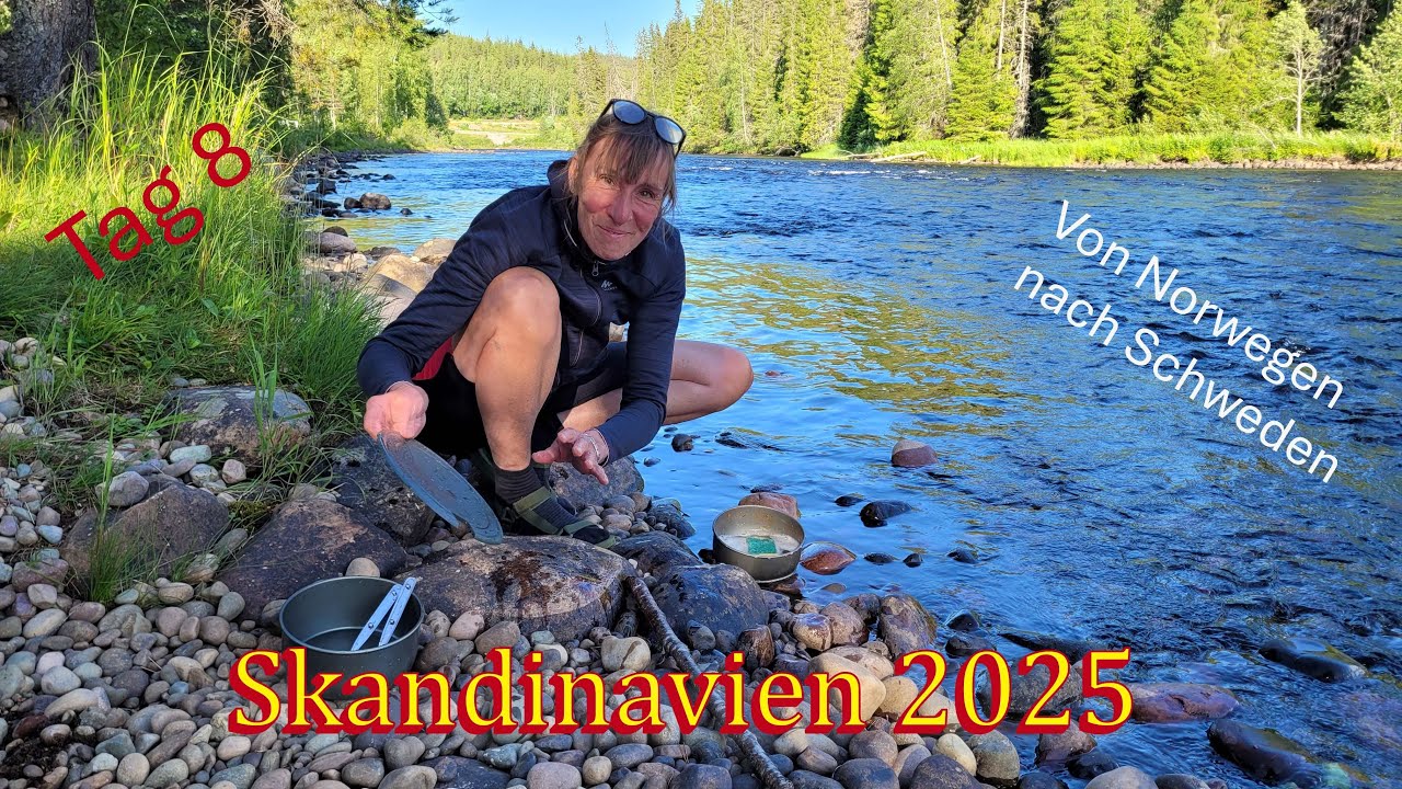 SKANDINAVIEN 2025 - Tag 8/19 - Baum fällt !