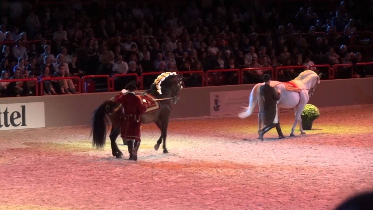 Les 4 écoles d'art équestre à Bercy 2012 -  Longues rênes. 4 Equestrian Art Schools  - Long reins.